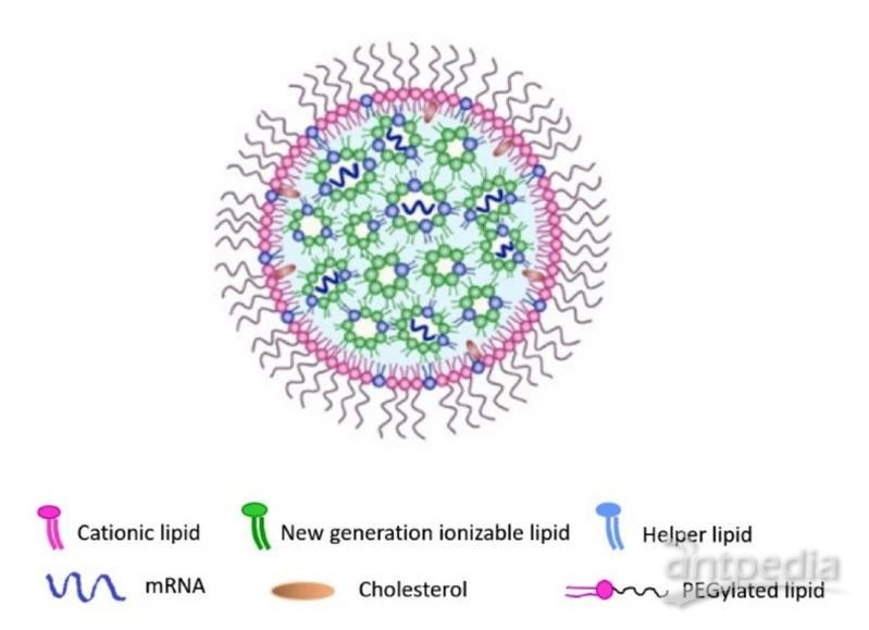 脂质纳米颗粒—将mrna送进细胞的载体