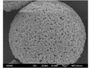 超大孔PST聚合物微球介质