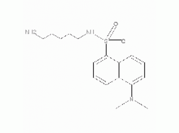 Dansylcadaverine [N-(5-Aminopentyl)-5-dimethylaminonaphthalen-1-sulfonamide]