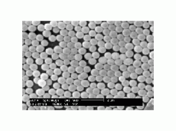 单分散氨基二氧化硅微球