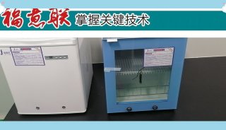 动物房大鼠饲养实验大鼠&小鼠饲养箱、基因鼠饲养箱饲养柜FYL-YS-1028L