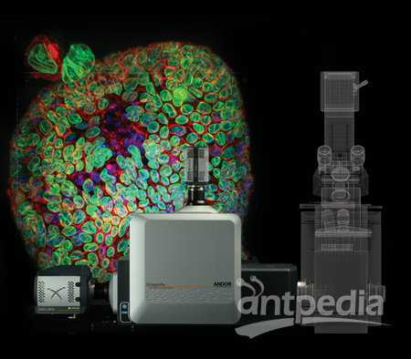 牛津仪器ANDOR Dragonfly高速共聚焦成像平台 全内反射荧光显微镜