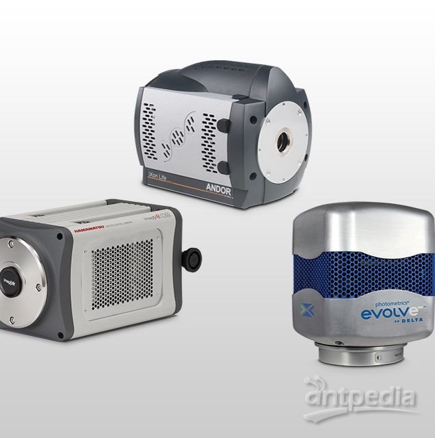 奥林巴斯EM-CCD相机 用于微弱荧光成像的相机