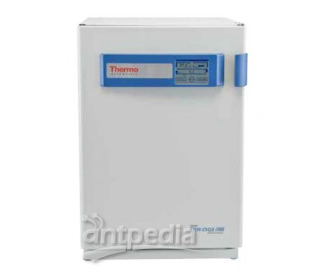 Thermo Scientific Forma Steri-Cycle i160全新蜂巢式CO2培养箱