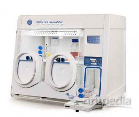 H25低氧工作站/微好氧培养箱（紧凑型）
