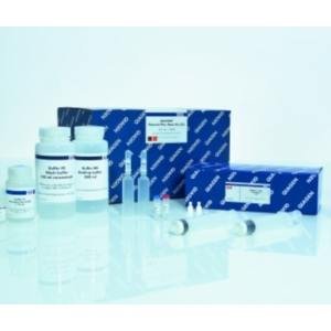 QIAGEN OneStep Ahead RT-PCR Kit试剂盒