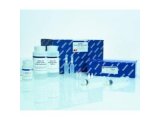 QuantiNova Probe RT-PCR Kit试剂盒