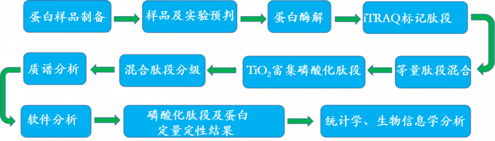 标记磷酸化蛋白质组学定量（Pho-iTRAQ）