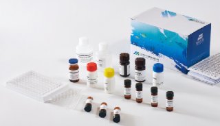 美正河豚毒素(Tetrodotoxin,TTX)ELISA检测试剂盒 适用水产中肌肉等部分
