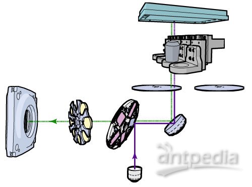 美谷分子 水浸物镜 ImageXpress Micro Confocal共聚焦高内涵成像系统
