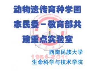 动物遗传育种学国家民委－教育部共建重点实验室