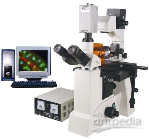 倒置荧光显微镜1.jpg