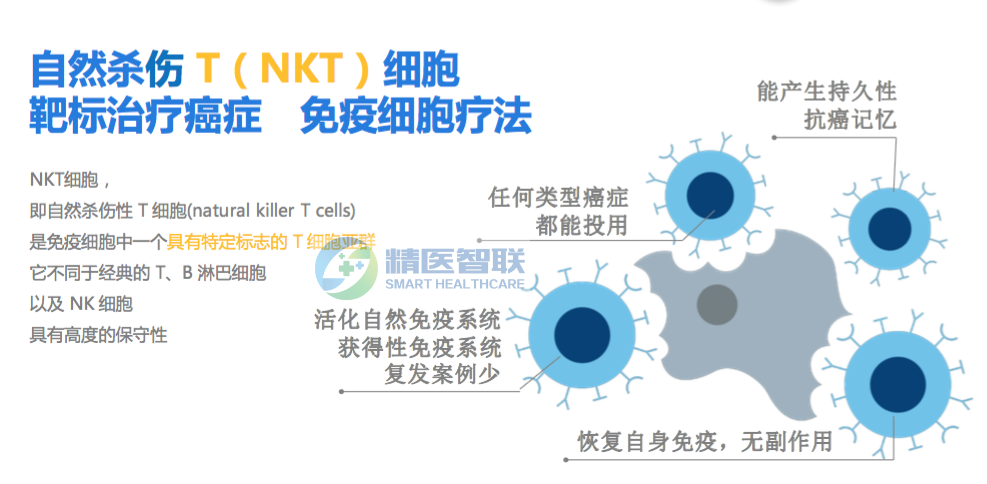 Nkt细胞 战胜癌症的新方法 分析行业新闻
