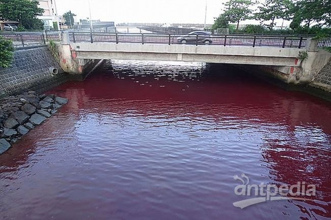 日本冲绳一啤酒厂发生泄漏 将海面染成红色