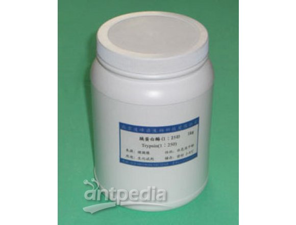 胰蛋白酶1:250(牛胰)