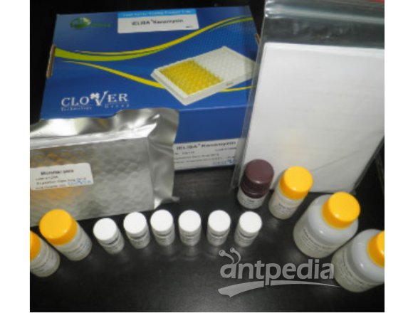 氯霉素检测试剂盒