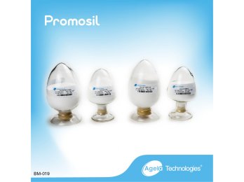 艾杰尔Promosil散装HPLC填料15μm 100A;100g/bottle
