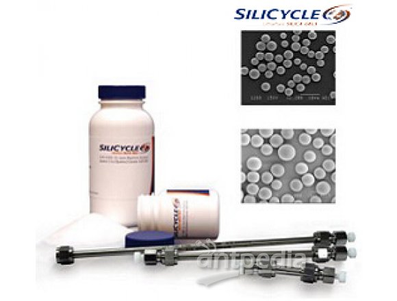 SiliaFlash? B60REY, GL 32D, GL 45OPCOCK AND SCREW CAP,SILICONE GASKET NS-STOPPER00 ML, DURAN