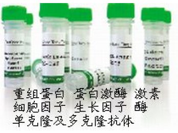 MouseAntiHumanTomoregulin-2（TMEFF2）