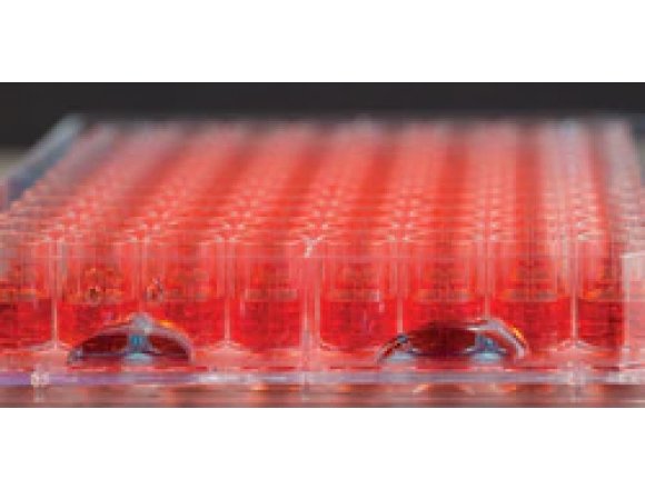 Thermo Scientific™ 267544 Nunc™ Edge™ 96-Well, Non-Treated, Flat-Bottom Microplate