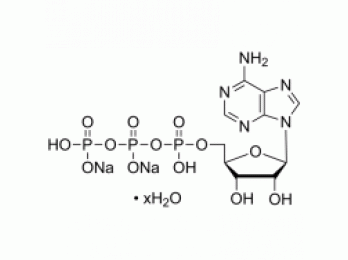 腺苷-5′-三磷酸 二钠盐 水合物