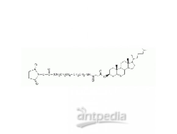 胆固醇 PEG N-羟基琥珀酰亚胺, CLS-PEG-NHS