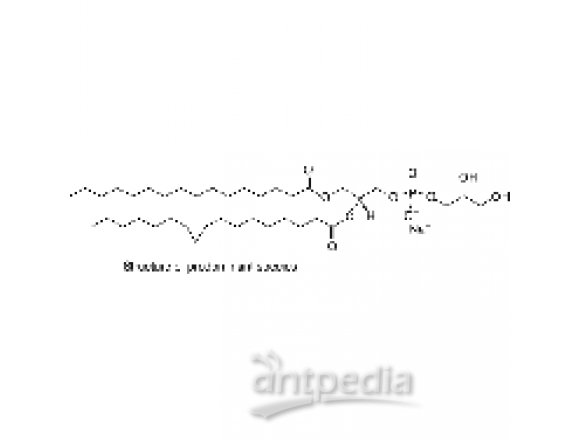 L-α-phosphatidylglycerol (E. coli) (sodium salt)