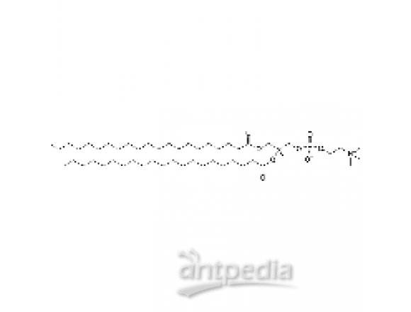 1,2-dihenarachidoyl-sn-glycero-3-phosphocholine