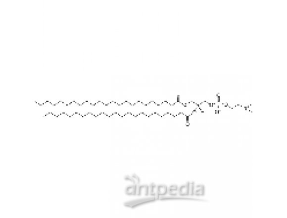 1,2-ditricosanoyl-sn-glycero-3-phosphocholine