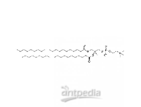 1,2-dieicosenoyl-sn-glycero-3-phosphocholine