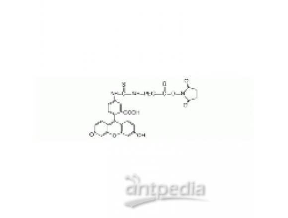 荧光素 PEG N-羟基琥珀酰亚胺, FITC-PEG-NHS