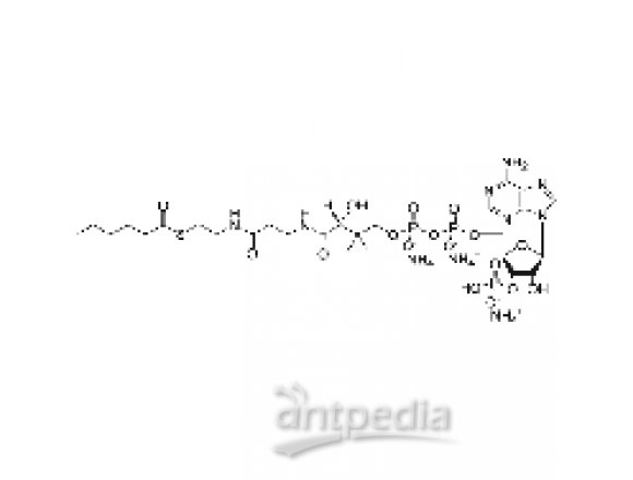 hexanoyl Coenzyme A (ammonium salt)