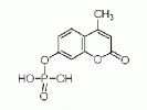 4-甲基伞形酮酰磷酸酯
