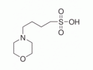 4-(N-吗啉基)丁磺酸