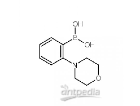 2-吗啉苯硼酸