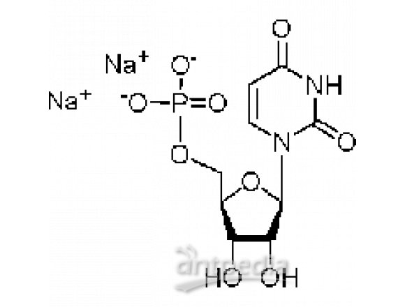 5ˊ-尿苷酸二钠(UMP)