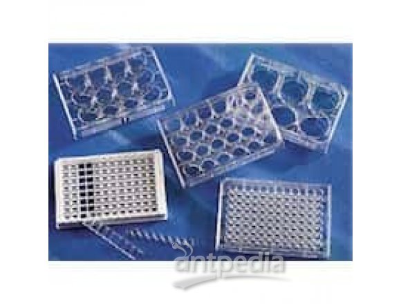 Costar 3506 6-well Multiple-well cell culture plates with lid, treated, sterile, 5/pk