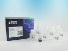 BeaverBeads™ ProteinA/G Antibody Purification Kit