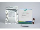 白介素6测定试剂盒（免疫荧光干式定量法）