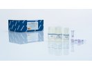QIAGEN MinElute PCR Purification Kit