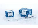 QIAGEN QIAseq cfDNA Library Kit for Ion Torrent