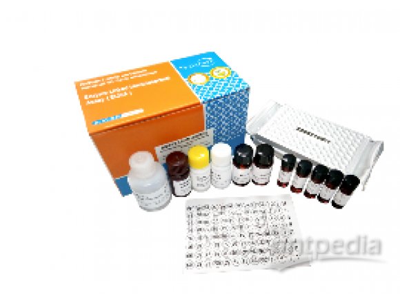 HEM0148美正黄曲霉毒素总量ELISA检测试剂盒