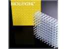 巴罗克Biologix 2英寸冻存盒 适用于超低温冰箱存储90-8200