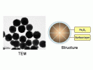 M814143-5ml 四氧化三铁磁性纳米微球,基质:Fe3O4,表面基团:-SiOH,粒径:200-300 nm,单位:5mg/ml