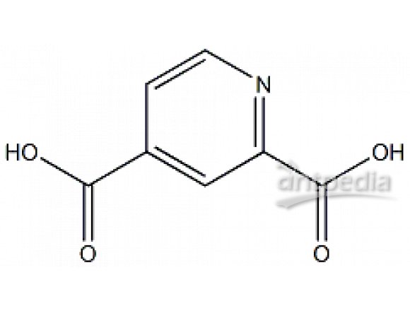 P816099-1g 吡啶-2,4-二羧酸,一水合物,≥98%