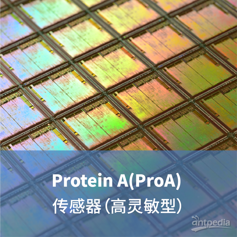 LifeDisc Protein A(ProA) 生物传感器（高灵敏型）