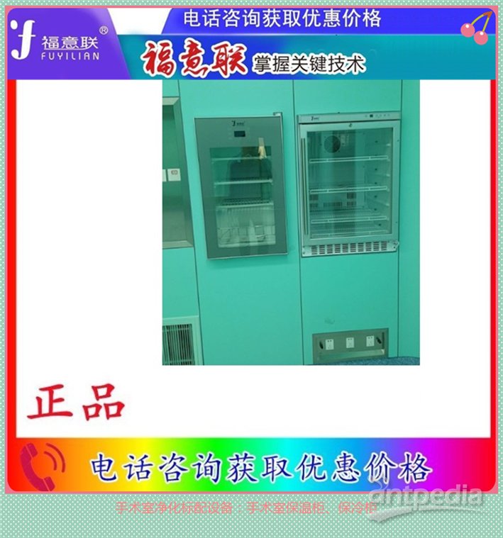 保温柜(干式恒温箱) 手术室GMP车间保温柜