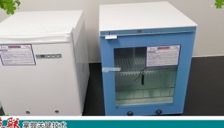 结核杆菌培养实验室真菌培养箱FYL-YS-310L