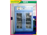 实验动物饲养箱、换气饲养箱FYL-YS-430L