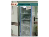 蛋白质纯化(生物化学）实验室冰箱 恒温层析柜 福意联